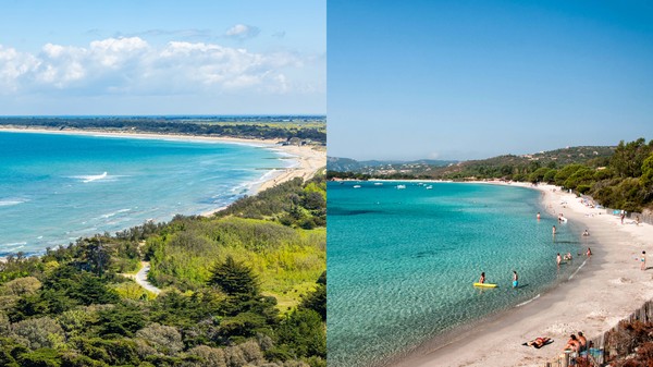 plage de la conche des baleines et plage de palombaggia