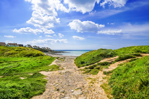 Vue du paysage depuis la Pointe du Nid de Corbet près d’Audresselles en France. La nature sur la côte près du détroit de Douvres.