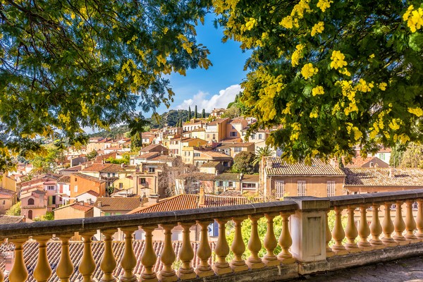 Vue panoramique du petit village de Bormes le Mimosas dans le sud de la France avec des mimosas jaunes fleurissant sous le chaud soleil d’hiver
