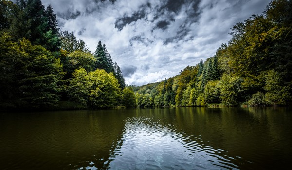 Foret de Confracourt