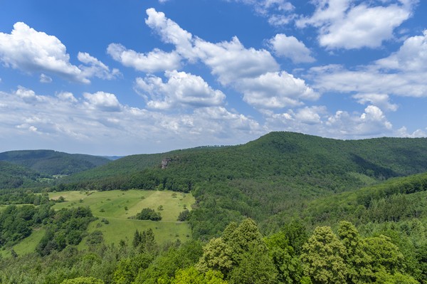Vue depuis le château de Fleckenstein. Lembach en Alsace