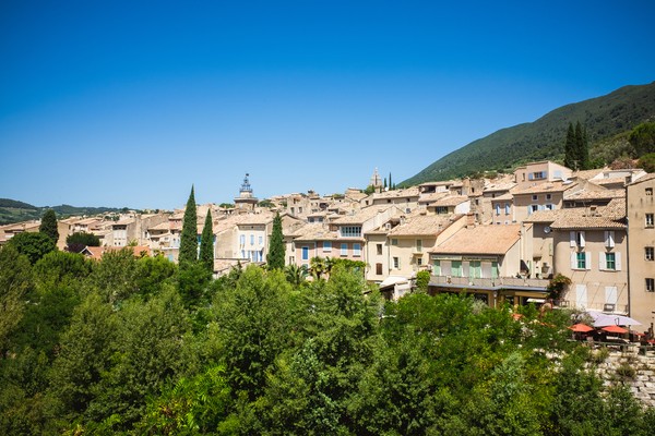 Panorama de la ville de français avec des arbres et des toits