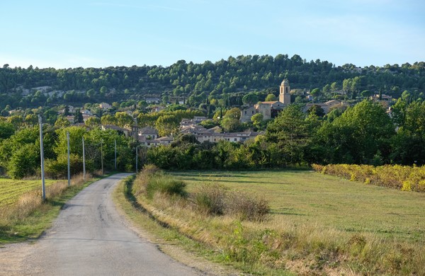 Route locale entre vignes et champs. Mormoiron, Vaucluse, France