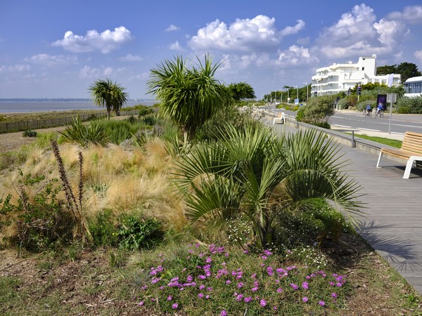 Composition florale à Saint Brevin les Pins en France
