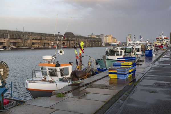 Pêche en bateau dans le port