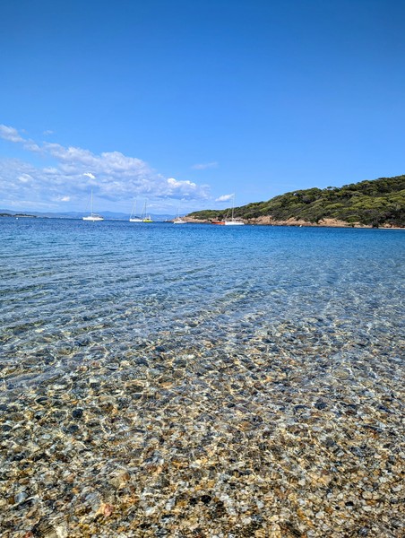 Photo principale de Ile De Port Cros Sud - Anse De Janets