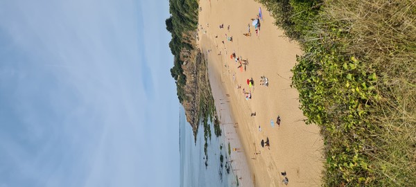 Photo principale de Les Jaunais