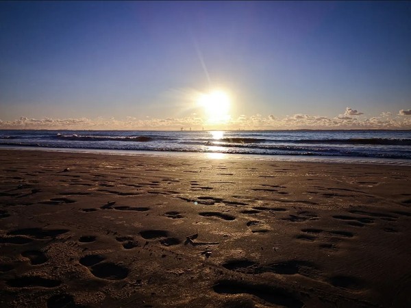 Photo principale de Plage Des Vergnes