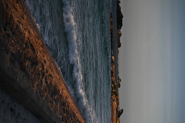 Photo principale de Les Dunes