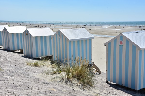 Photo principale de Neufchatel-Hardelot Plage