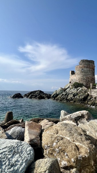 Photo principale de Erbalunga
