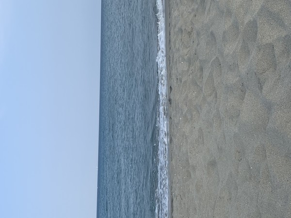 Photo principale de Plage Sud