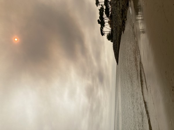 Photo principale de Plage Des Pins Du Cordouan