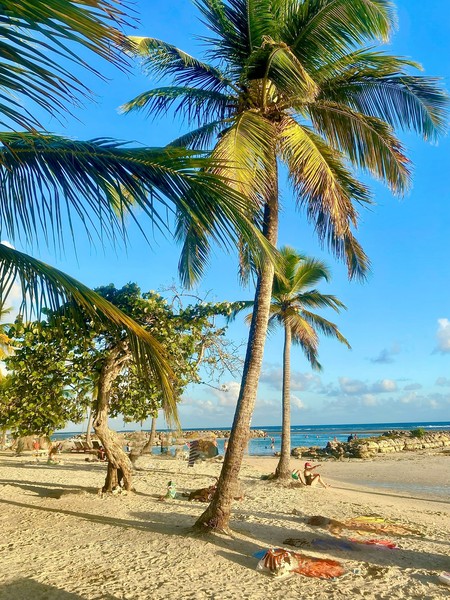 Photo principale de Plage Du Bourg