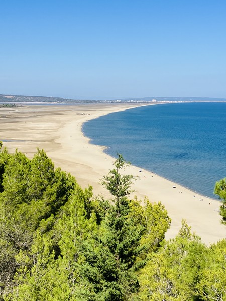 Photo principale de La Franqui