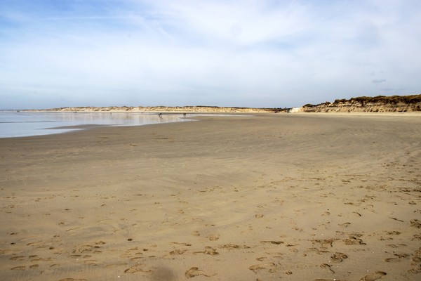 Photo principale de Torche