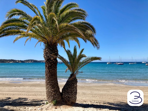 Photo principale de Plage Du Grand Vallat