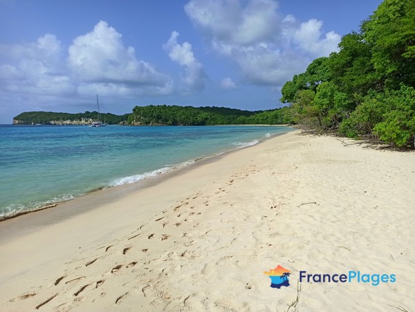 Photo principale de Anse Moustique