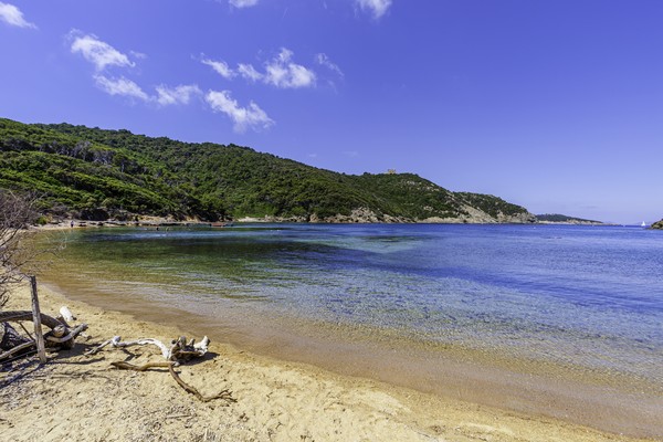 Photo principale de Ile De Port Cros-Baie De La Palud