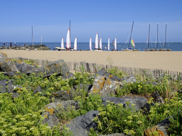 Photo principale de Plage Sud