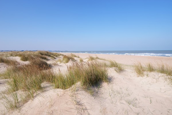 Photo principale de Franceville Plage