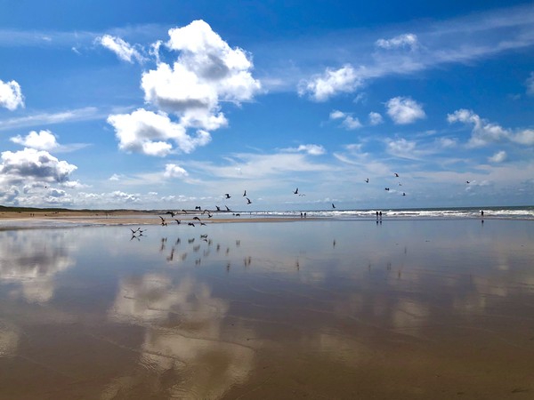 Photo principale de Grande Plage Paterne