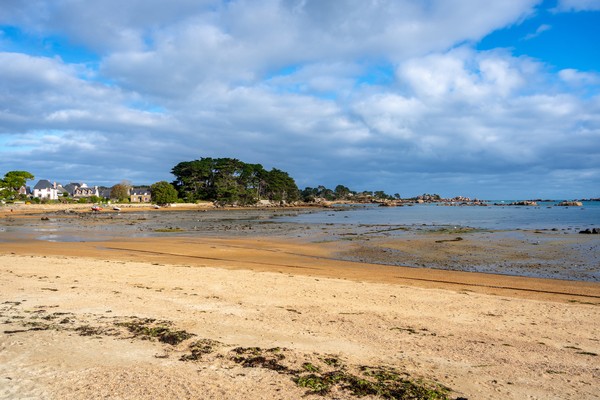 Photo principale de Ile Renote