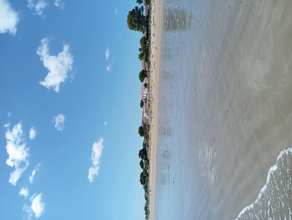 Photo principale de Plage Du Gros Jonc