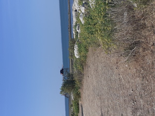 Photo principale de Plage Sud
