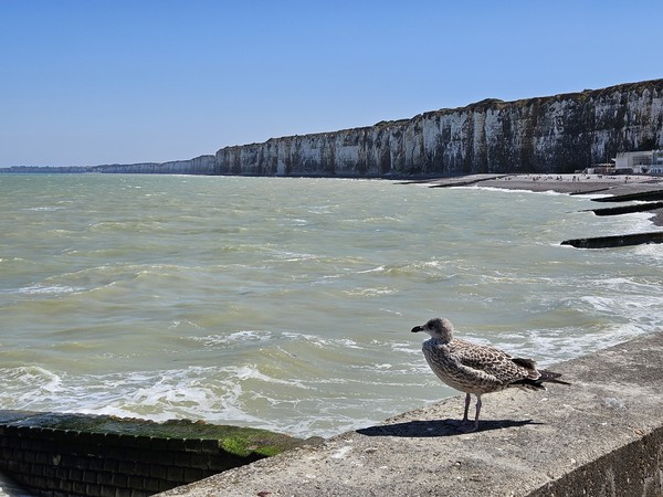 Photo principale de St-Valery-Plage