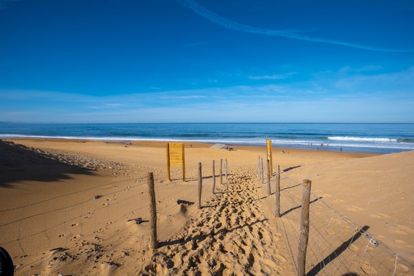 Photo principale de Labenne Ocean