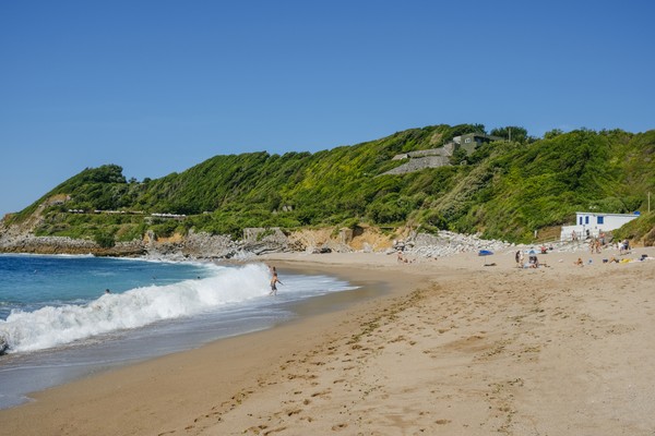 Photo principale de Lafitenia