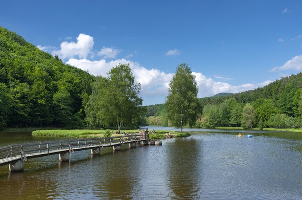 Photo principale de Camping-Plage Du Fleckenstein Lembach