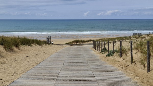Photo principale de Le Truc Vert
