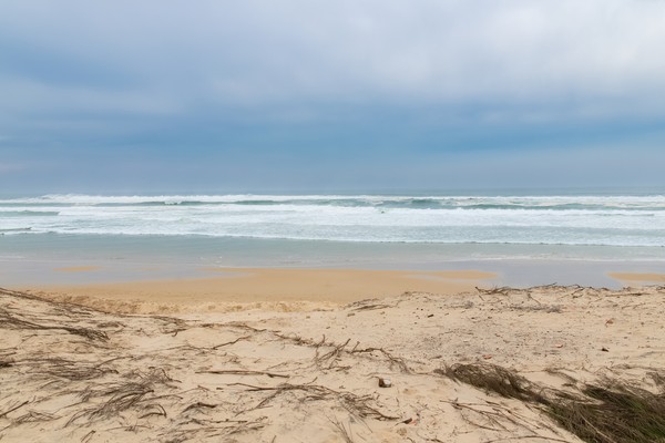 Photo principale de Plage Nord
