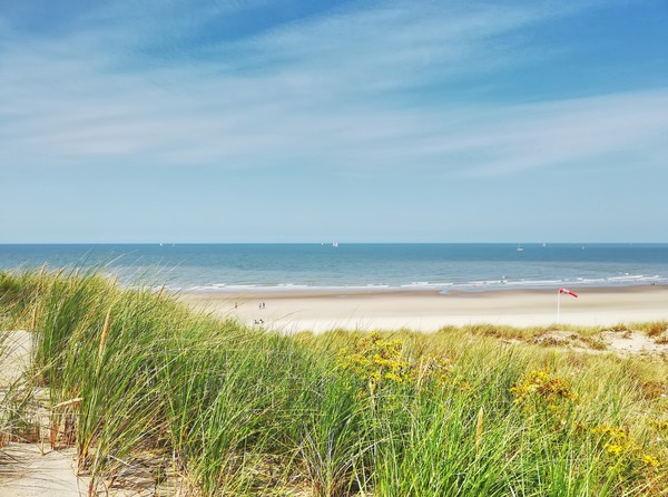 Photo principale de Le Perroquet - Bray-Dunes