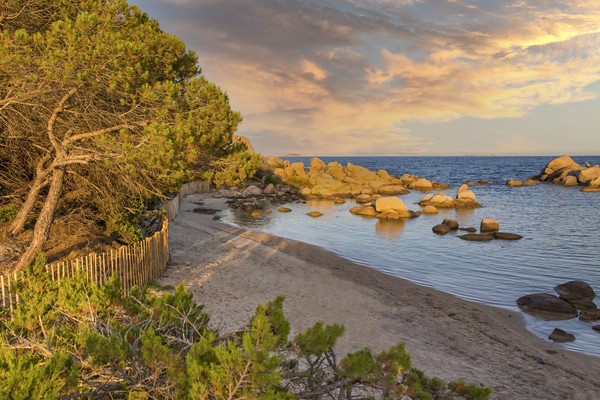 Photo principale de Plage de Tamaricciu