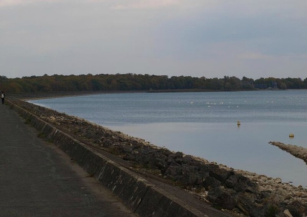 Photo principale de Plage De La Presqu'Ile De Larzicourt