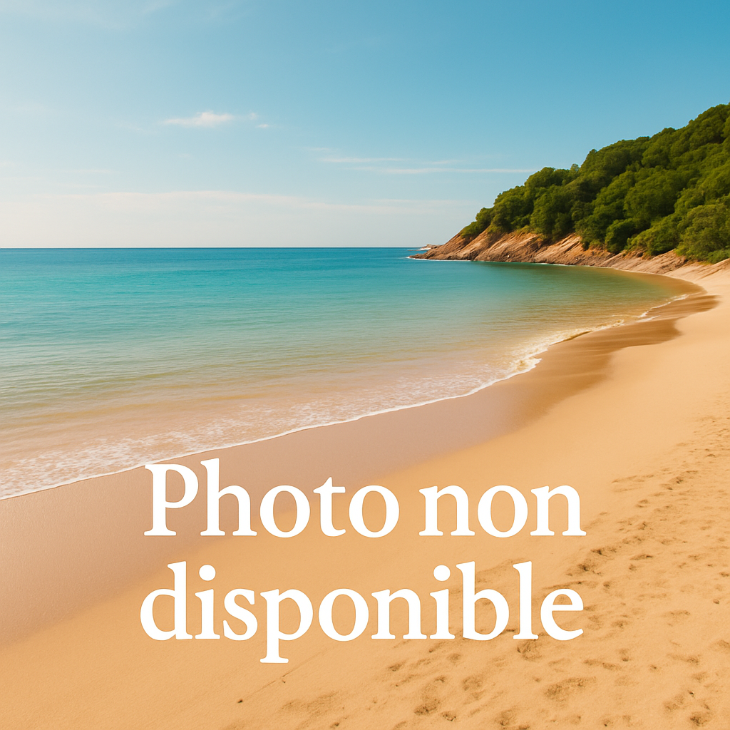Image par défaut